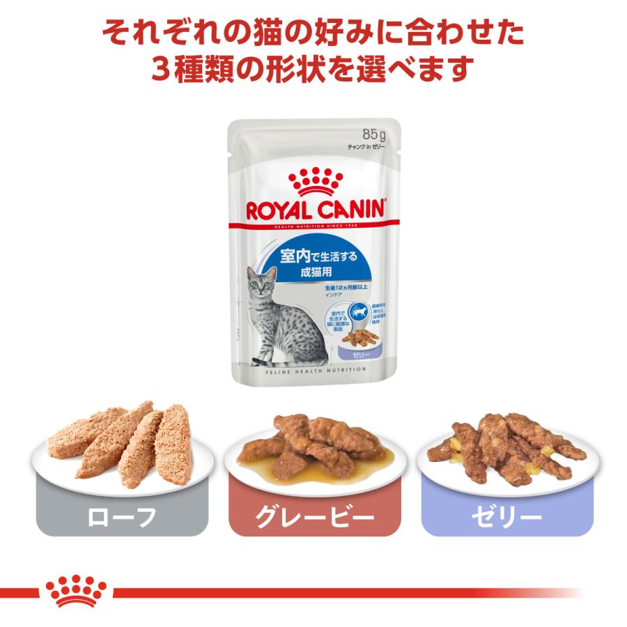 ロイヤルカナン（ROYAL CANIN） 猫 キャットフード ウェット インドア