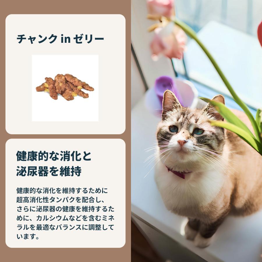 ロイヤルカナン（ROYAL CANIN） 猫 キャットフード ウェット インドア