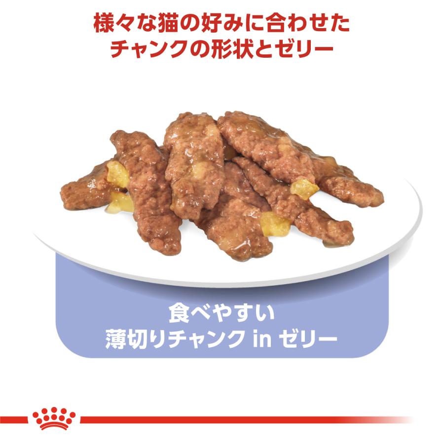 ロイヤルカナン（ROYAL CANIN） 猫 キャットフード ウェット インドア