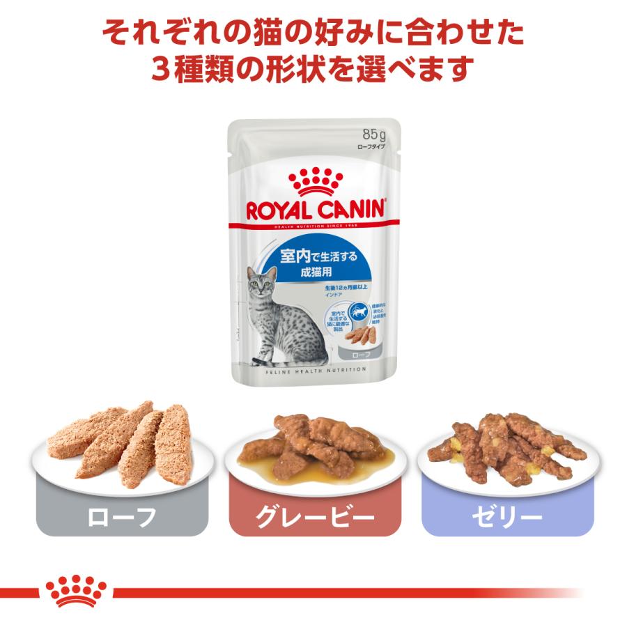  CANIN 室内猫用キャットフード 85g インドア　ローフ　48袋 ロイヤルカナン（ROYAL CANIN） 猫 キャットフード ウェット インドア