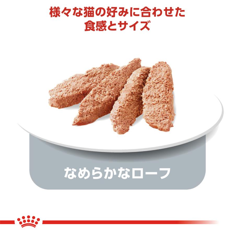 ロイヤルカナン（ROYAL CANIN） 猫 キャットフード ウェット インドア