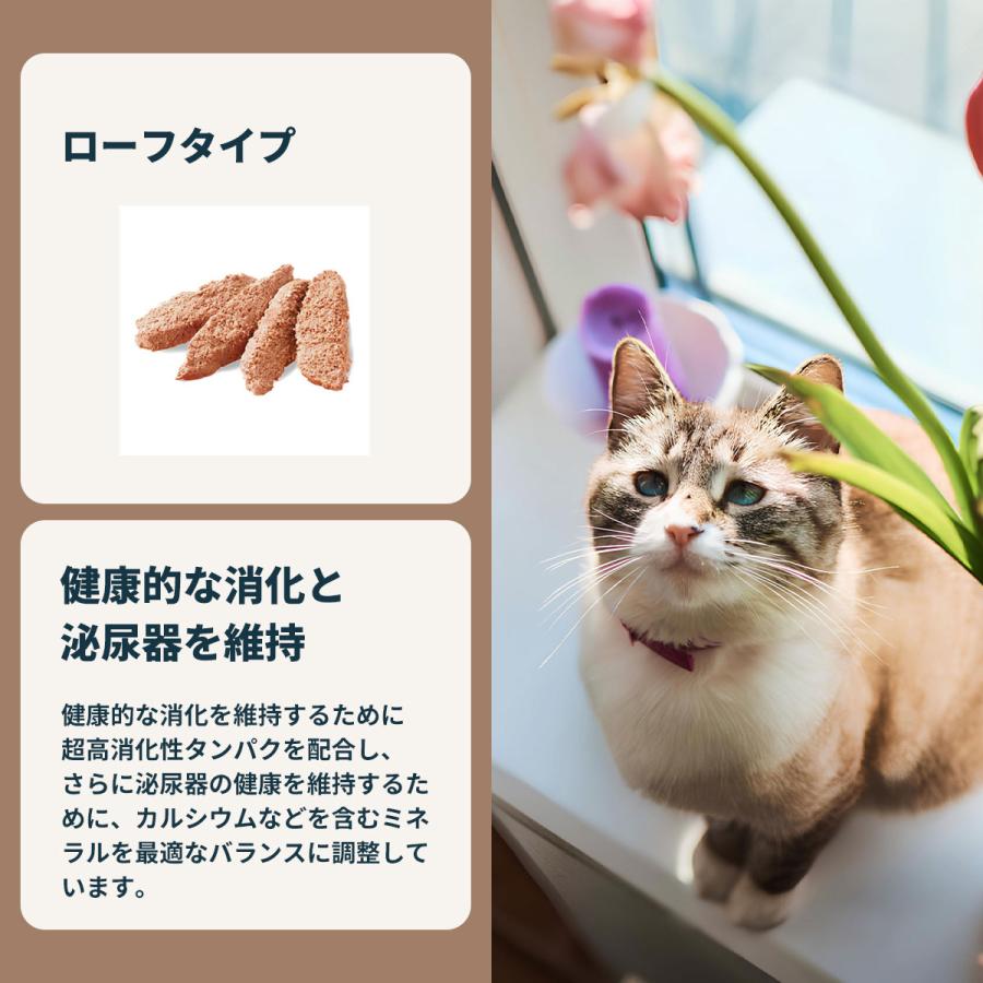  CANIN 室内猫用キャットフード 85g インドア　ローフ　48袋 ロイヤルカナン（ROYAL CANIN） 猫 キャットフード ウェット インドア