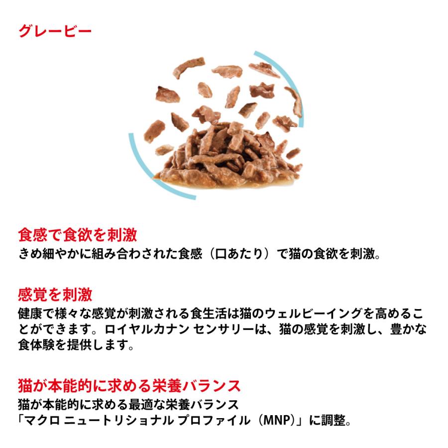 ロイヤルカナン 猫 キャットフード ウェット センサリー 食感にこだわる成猫用 85g×48袋｜koji｜11