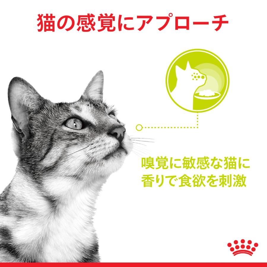 ロイヤルカナン 猫 キャットフード ウェット センサリー 食感にこだわる成猫用 85g×48袋｜koji｜08