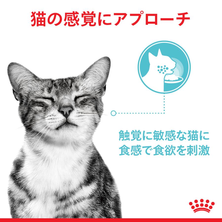 ロイヤルカナン 猫 キャットフード ウェット センサリー 食感にこだわる成猫用 85g×48袋｜koji｜10