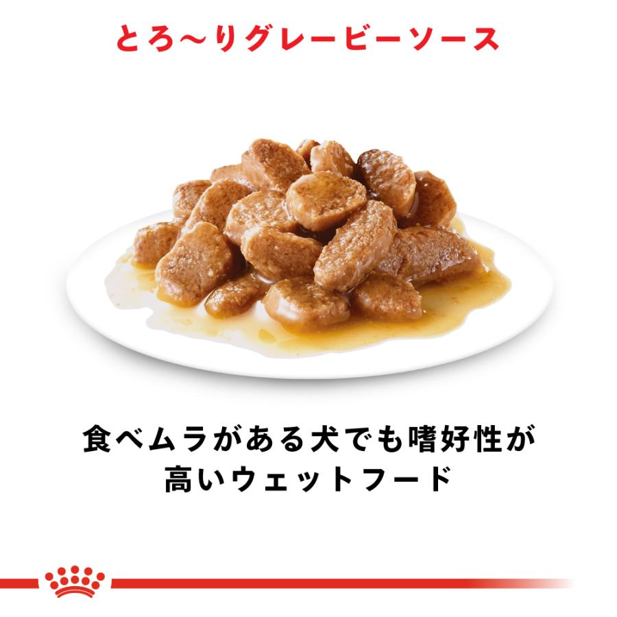 ロイヤルカナン（ROYAL CANIN） 犬 ドッグフード ウェット ミニ