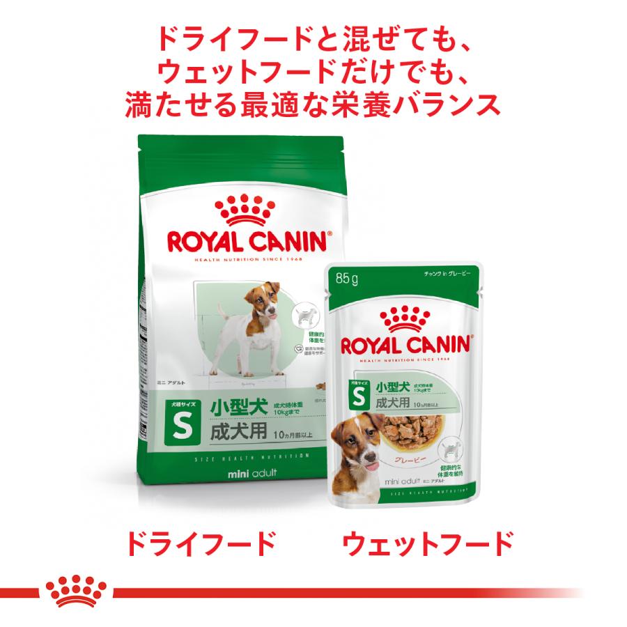 ロイヤルカナン（ROYAL CANIN） 犬 ドッグフード ウェット ミニ