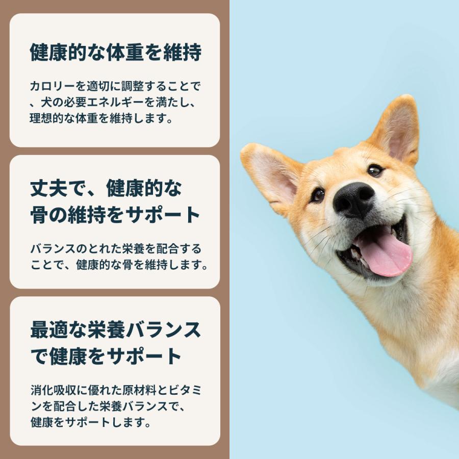 ロイヤルカナン（ROYAL CANIN） 犬 ドッグフード ウェット ミニ