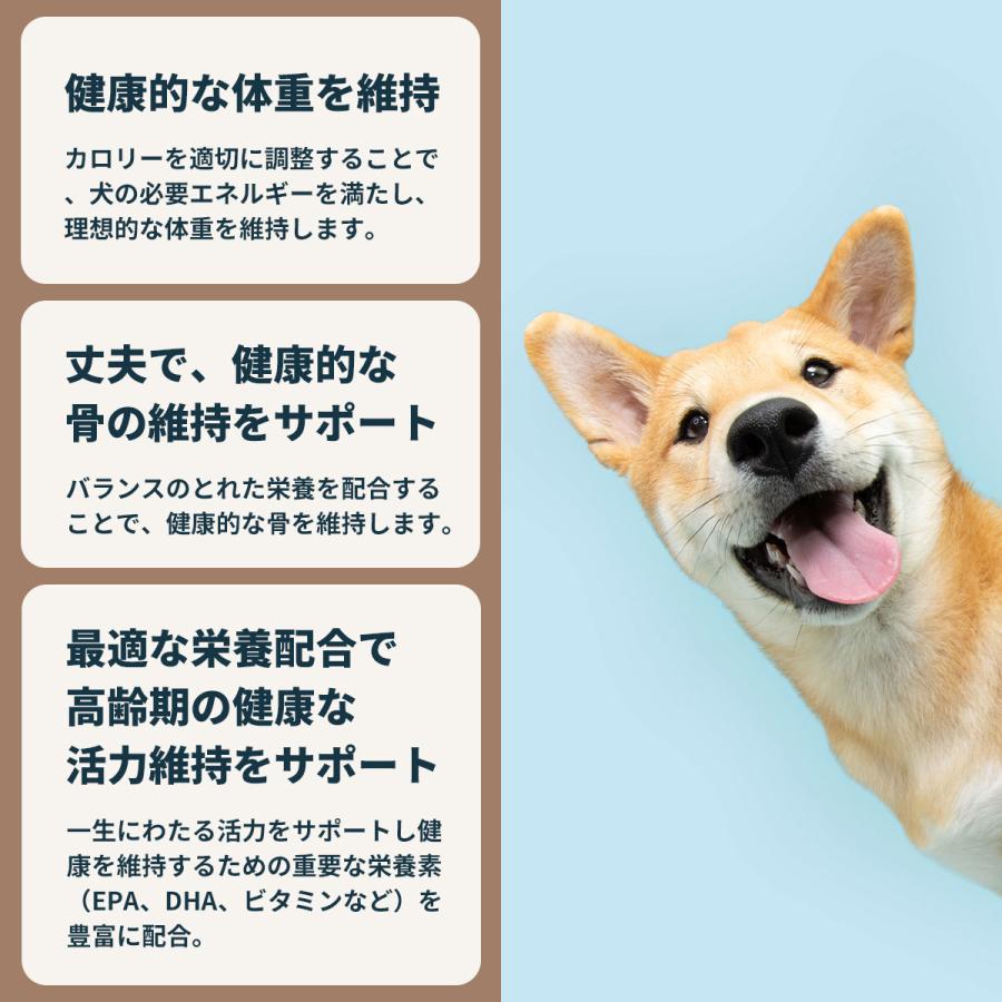 ロイヤルカナン（ROYAL CANIN） 犬 ドッグフード ウェット ミニ
