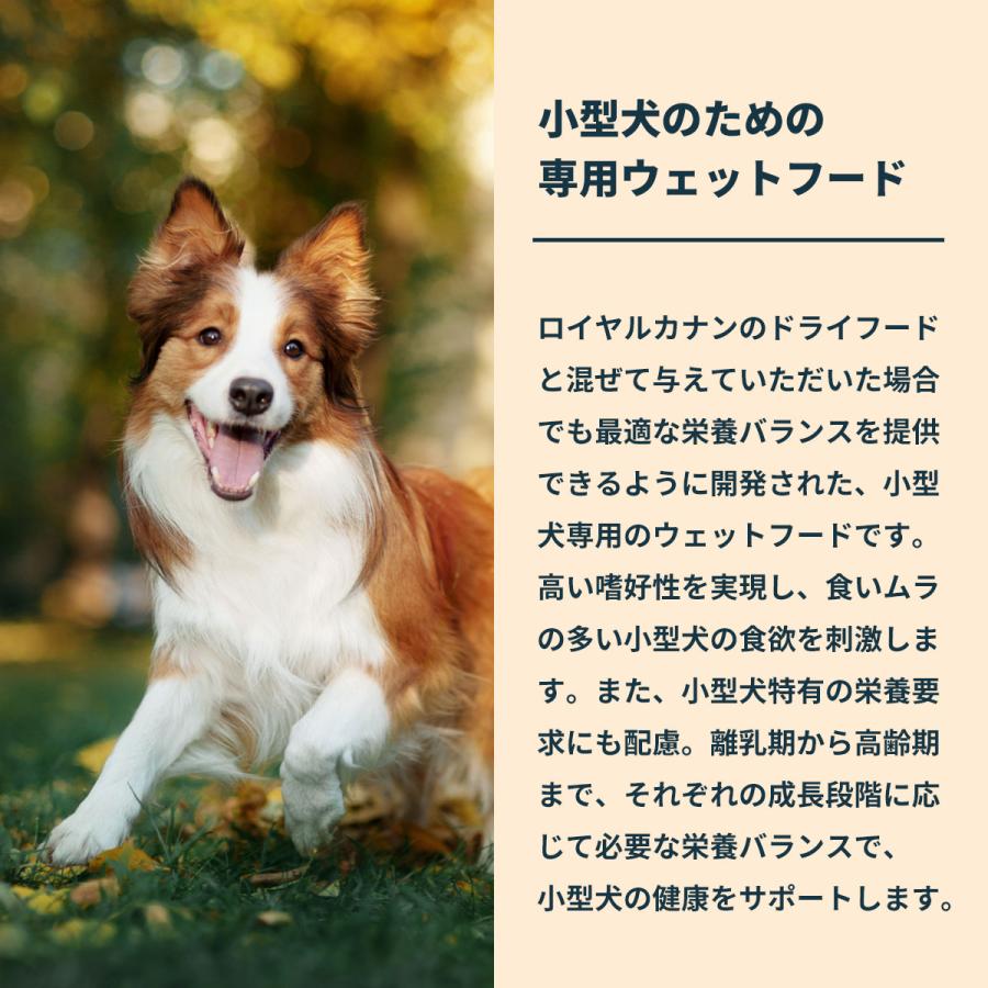 ロイヤルカナン（ROYAL CANIN） 犬 ドッグフード ウェット ミニ パピー
