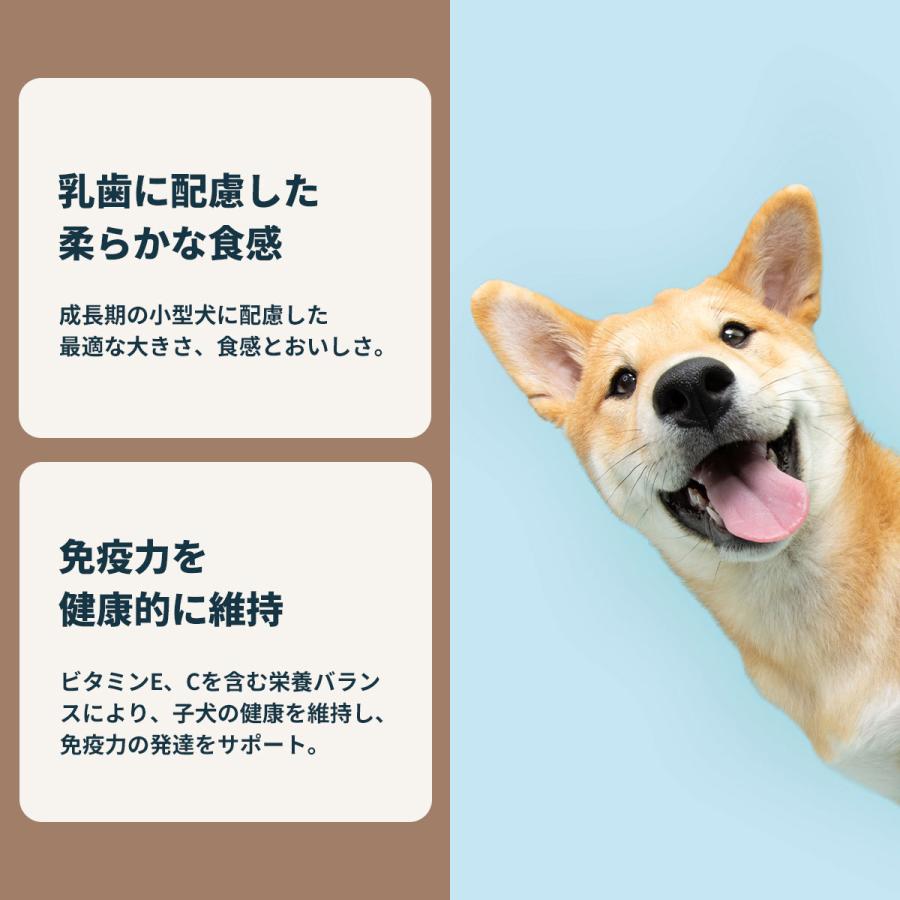 ロイヤルカナン（ROYAL CANIN） 犬 ドッグフード ウェット ミニ パピー