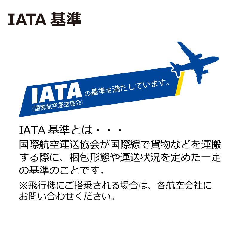 【新品訳あり】 リッチェル Richell キャンピングキャリー XL アイボリー 犬 ペットキャリー クレート ハウス 【2385632688】(12640円)