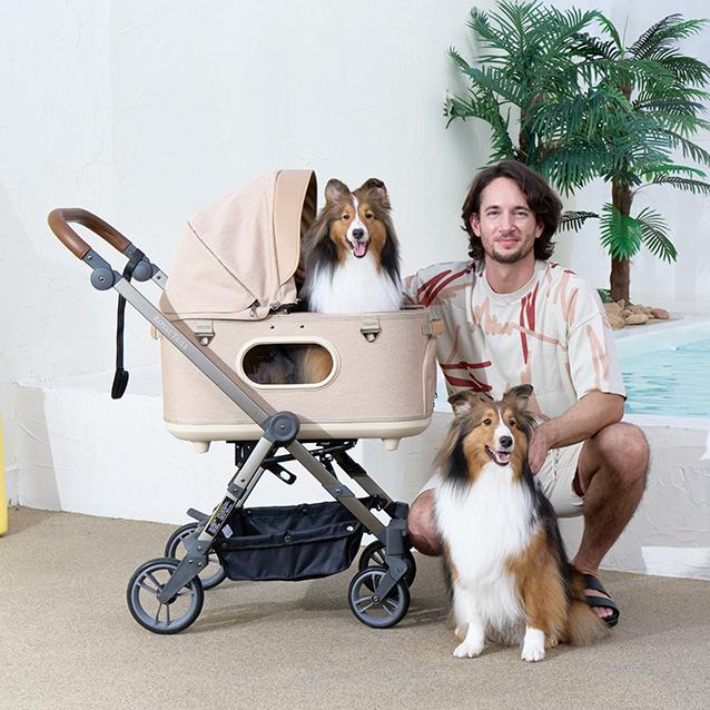 ROYAL TAILS（ロイヤルテイルズ） 【分割手数料無料！】ロイヤル