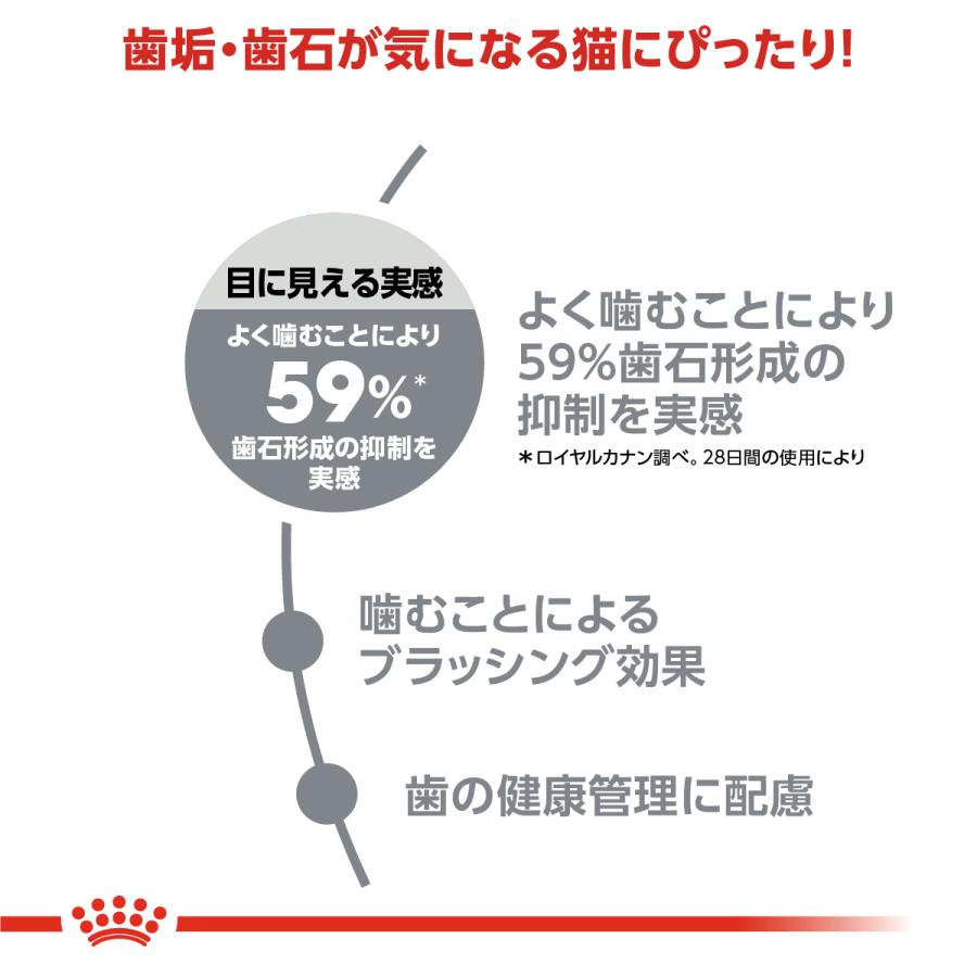 ロイヤルカナン（ROYAL CANIN） 猫 キャットフード デンタルケア 400g