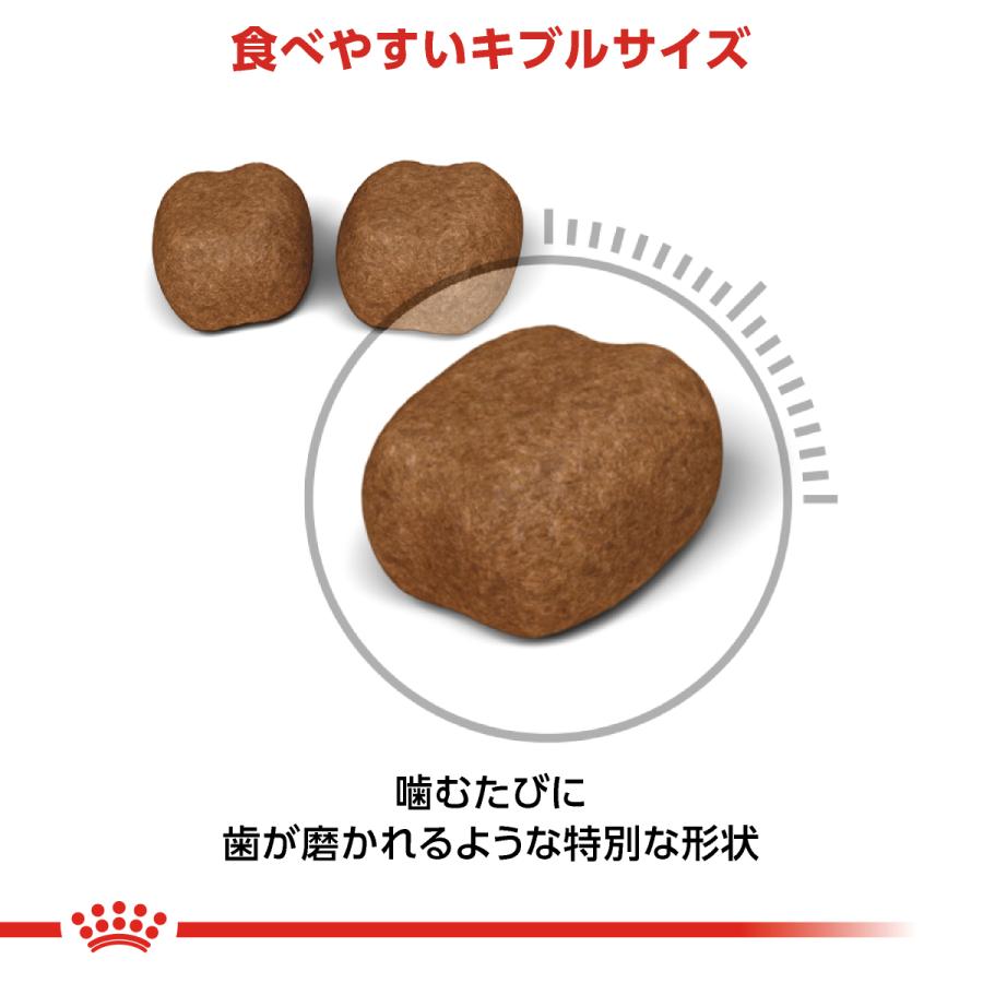 ロイヤルカナン（ROYAL CANIN） 猫 キャットフード デンタルケア 400g