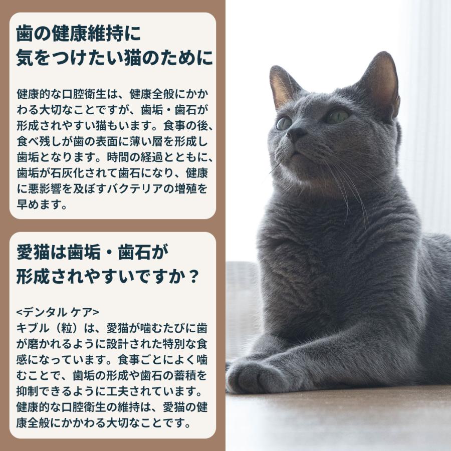 ロイヤルカナン（ROYAL CANIN） 猫 キャットフード デンタルケア 400g