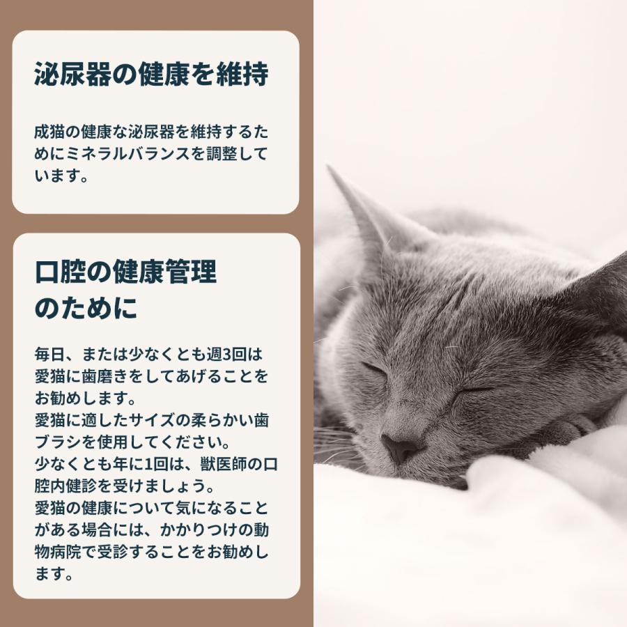 ロイヤルカナン（ROYAL CANIN） 猫 キャットフード デンタルケア 400g