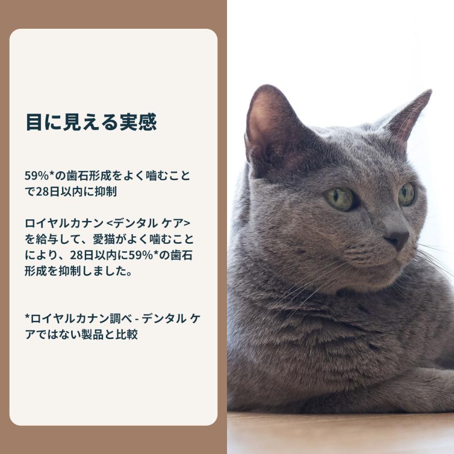 ロイヤルカナン（ROYAL CANIN） 猫 キャットフード デンタルケア 400g