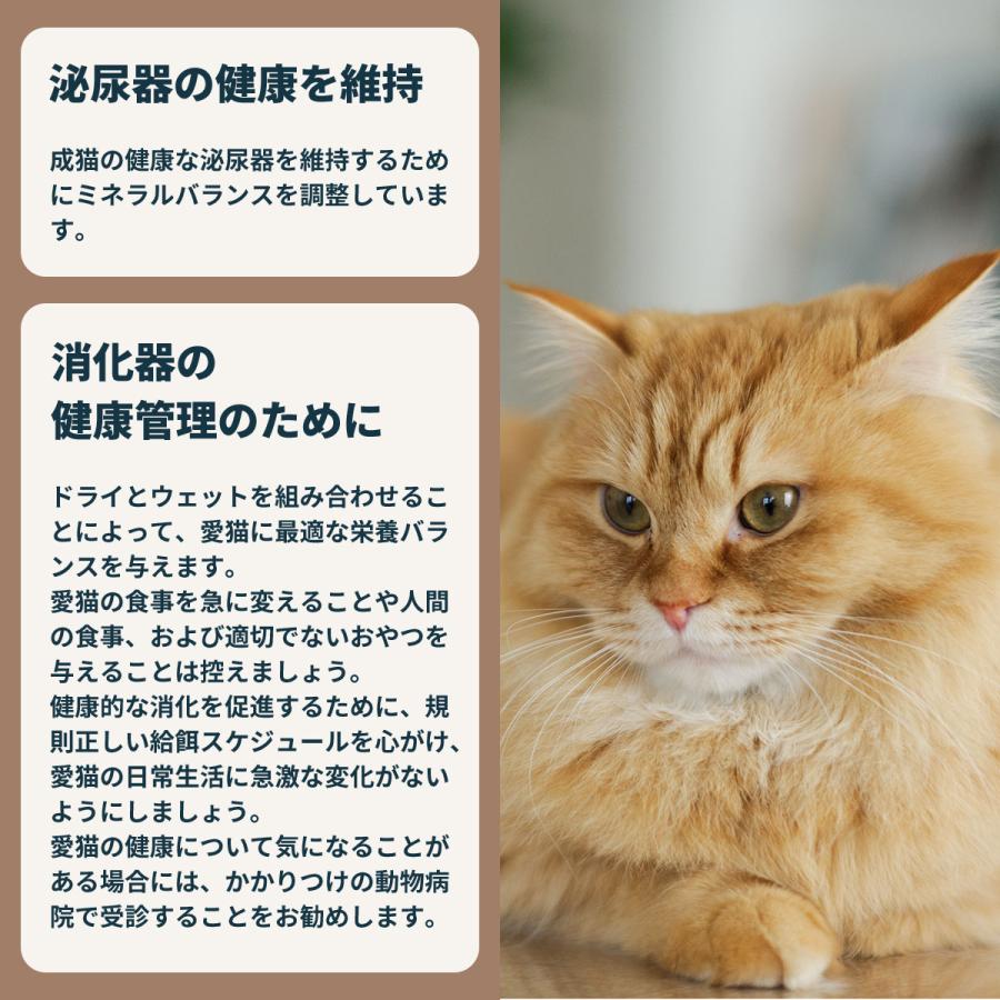 ロイヤルカナン（ROYAL CANIN） 猫 キャットフード ダイジェスティブ