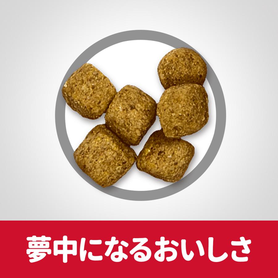 サイエンス ダイエット シニア ライト 小粒 肥満傾向の高齢犬用 7歳以上 チキン 6.5kg ドッグフード | サイエンス・ダイエット | 04