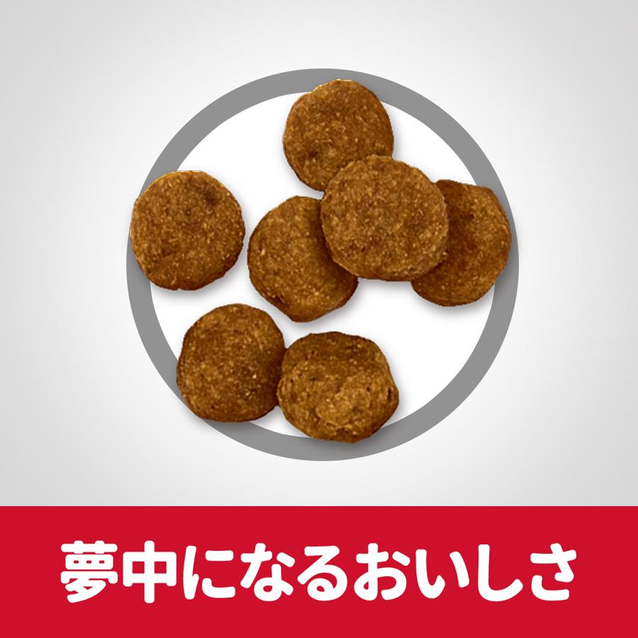 サイエンス・ダイエット サイエンス ダイエット アダルト 小粒 成犬用