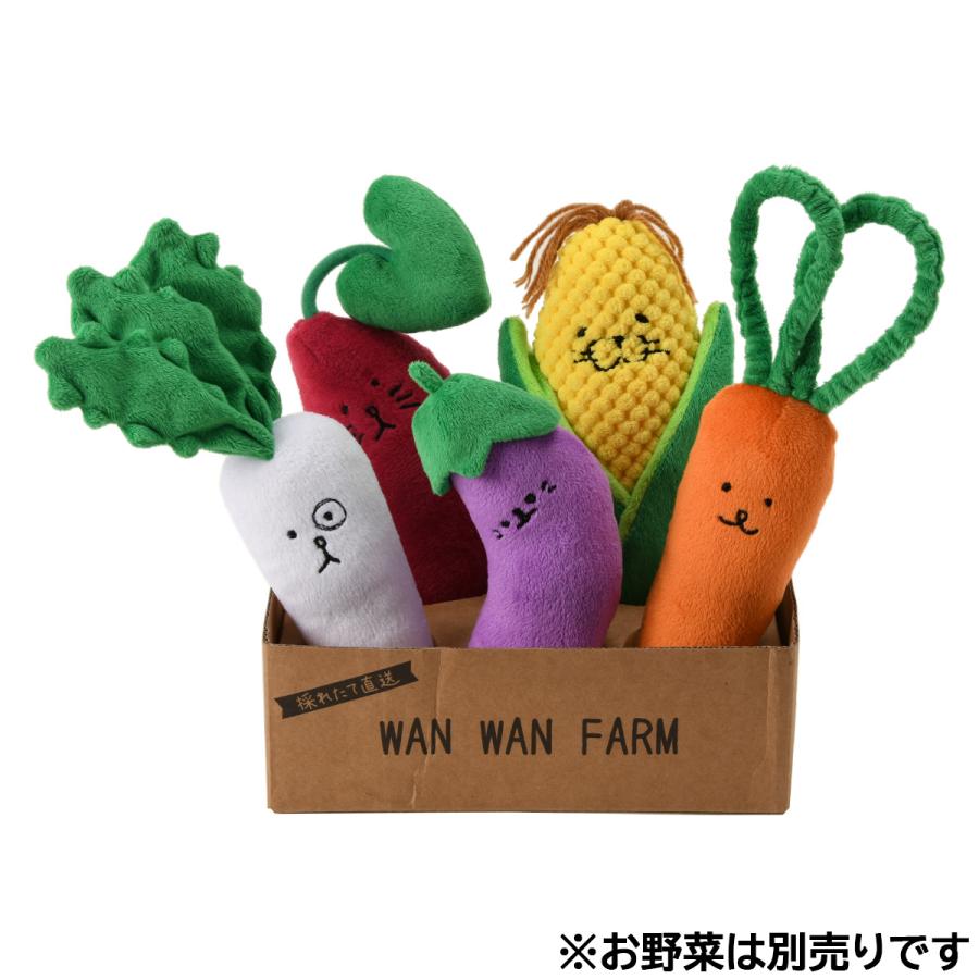 Solgra（ソルグラ） 犬のおもちゃ お野菜フレンズ BOX : コジコジ