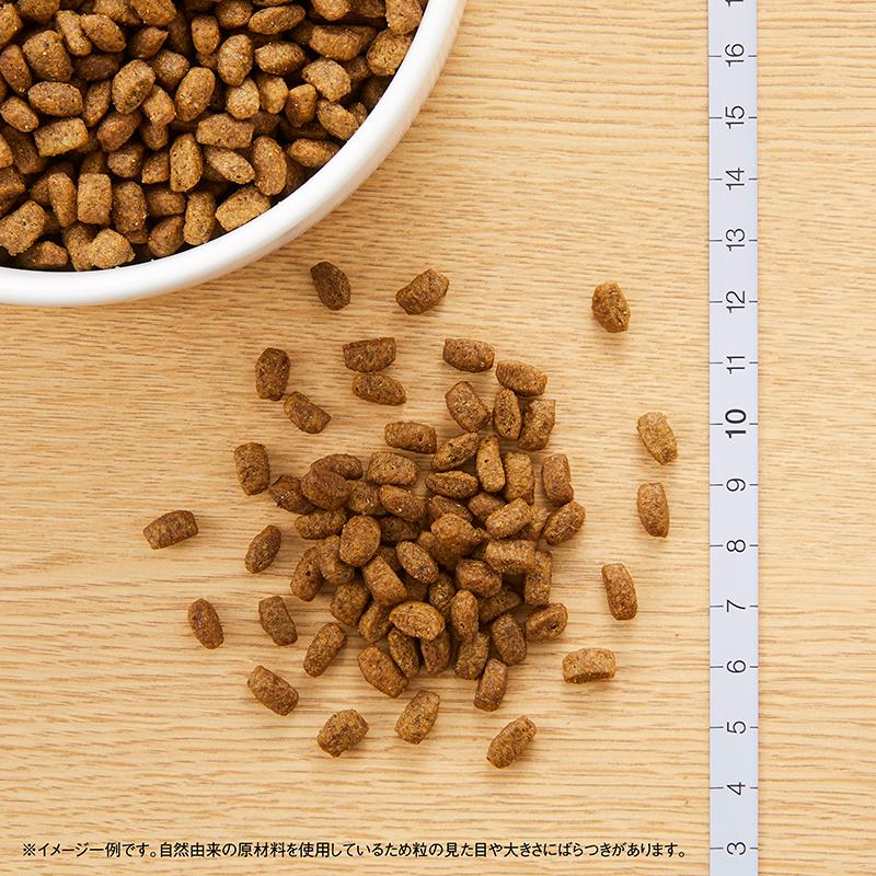 ニュートロ シュプレモ ドッグフード 超小型犬4kg以下用 成犬用 2kg