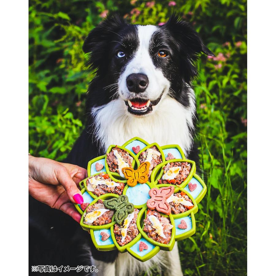 早い者勝ち！　スイートダッフィー  食器セット Amazon | 金正陶器 マイファースト ミッフィー こども食器セット