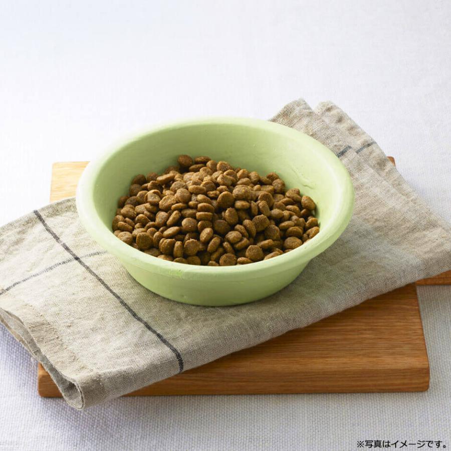 ソルビダ グレインフリー チキン 室内飼育体重管理用 5.8kg