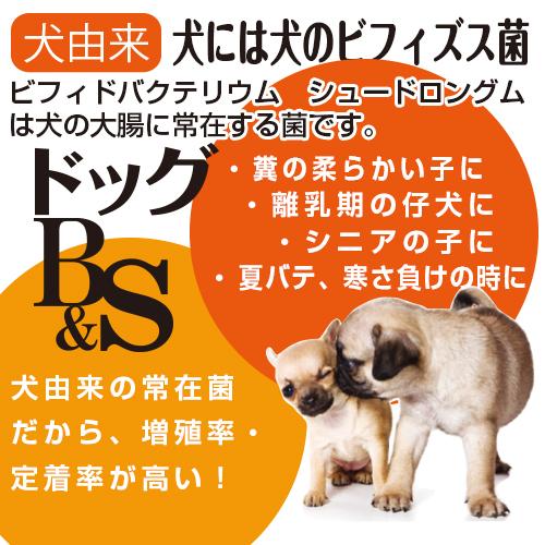 TAURUS（トーラス） ドッグB＆S 犬には犬のビフィズス菌 1g×12包