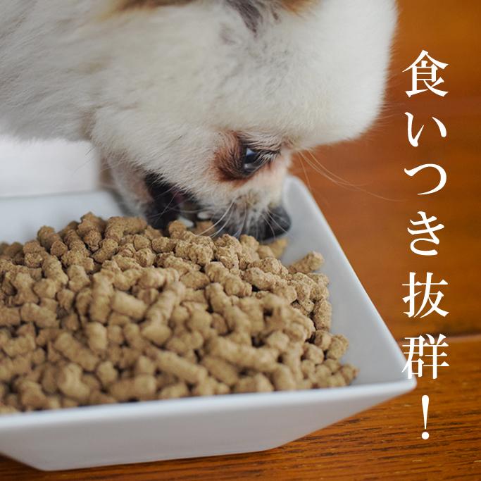 帝塚山ハウンドカム ホリスティッククッキング フィッシュ 1kg