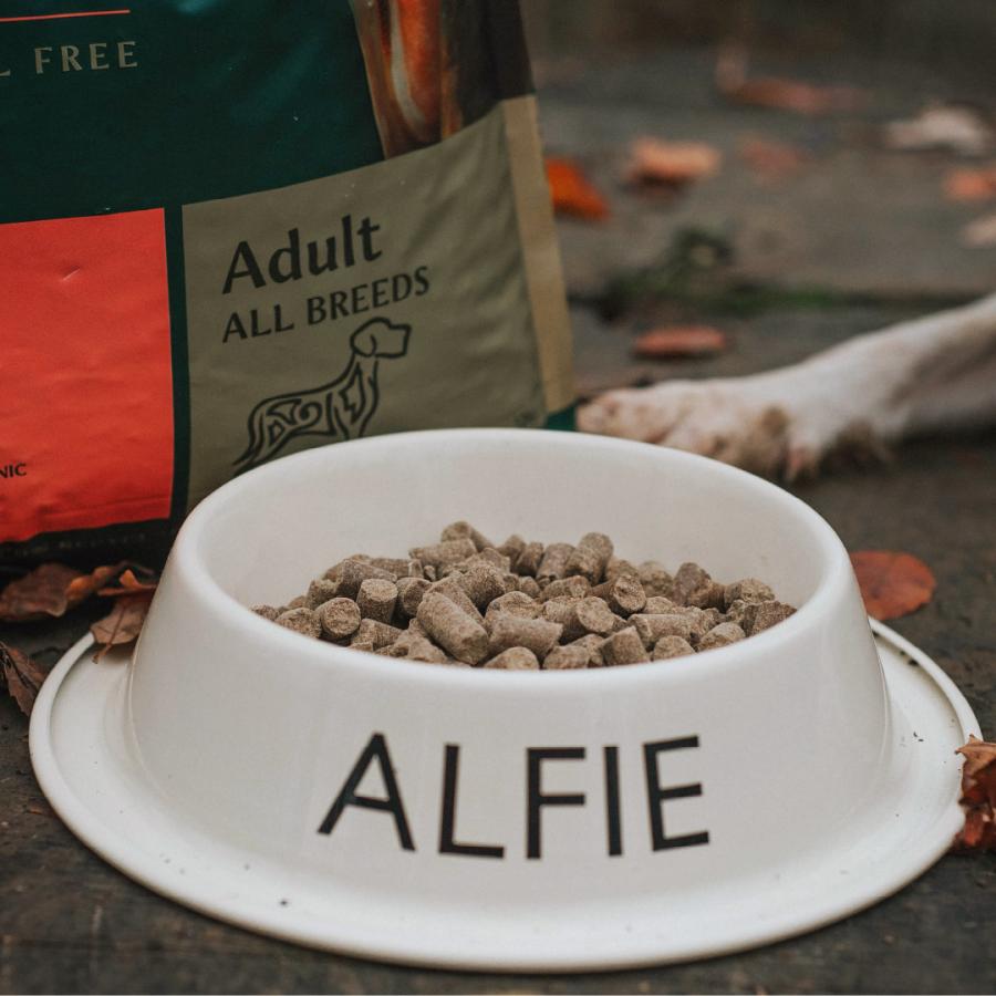 トライバル コールドプレス ドッグフード フレッシュサーモン 12kg 無添加 犬 穀物不使用 グレインフリー トライバル コールドプレス ドッグフード フレッシュサーモン