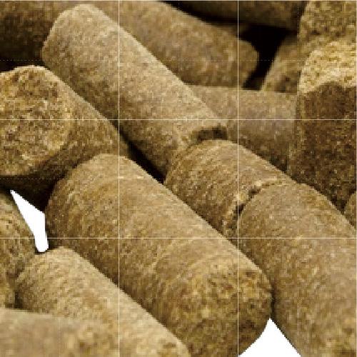 トライバル コールドプレス ドッグフード フレッシュサーモン 12kg 無添加 犬 穀物不使用 グレインフリー トライバル コールドプレス ドッグフード フレッシュサーモン