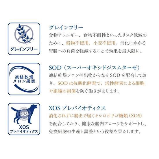 ベッツソリューション Vet Solution ドッグフード 犬用食事療法食 胃腸