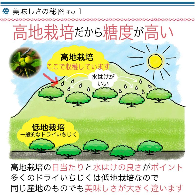 ドライフルーツ ドライいちじく いちじく イチジク 無添加 砂糖不使用 トルコ産 大粒 1kg 上質な 無花果｜kojima-ya｜04