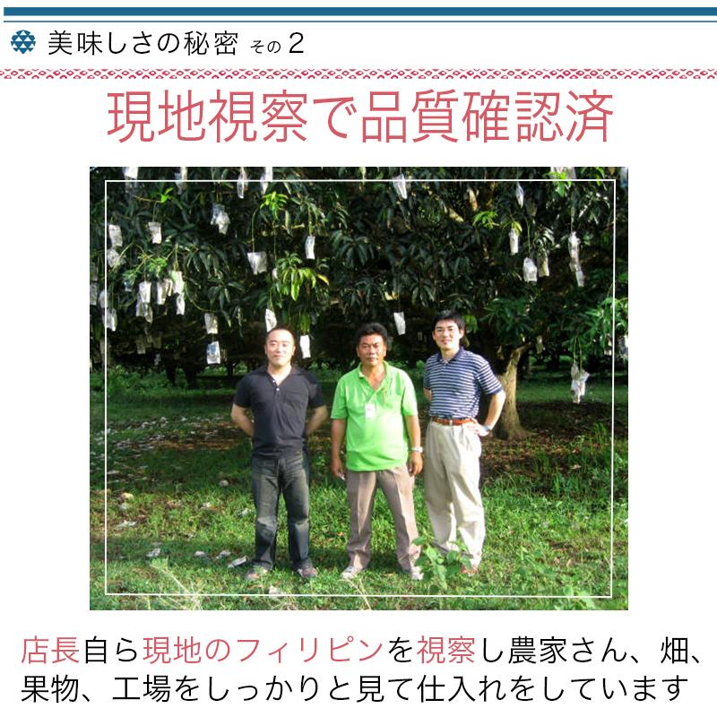 ドライマンゴー フィリピン産 砂糖不使用 無添加 500g ドライフルーツ マンゴー F 02 52 ドライフルーツナッツ専門店小島屋 通販 Yahoo ショッピング