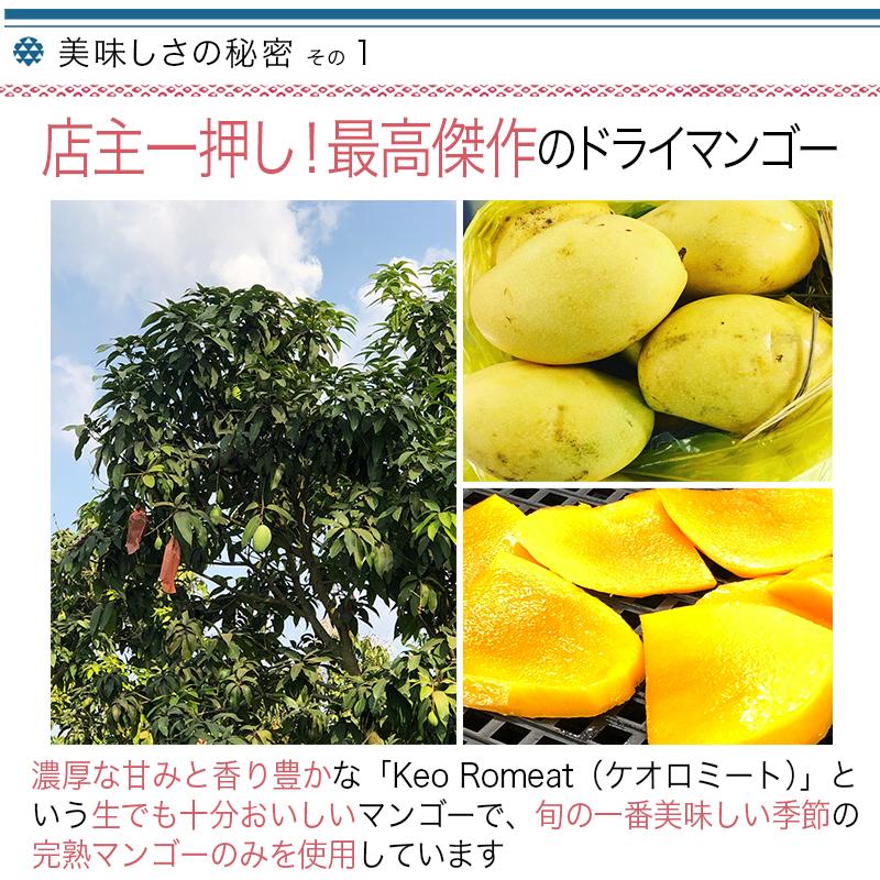 ドライフルーツ マンゴー 今季限定特価 無添加 ドライマンゴー
