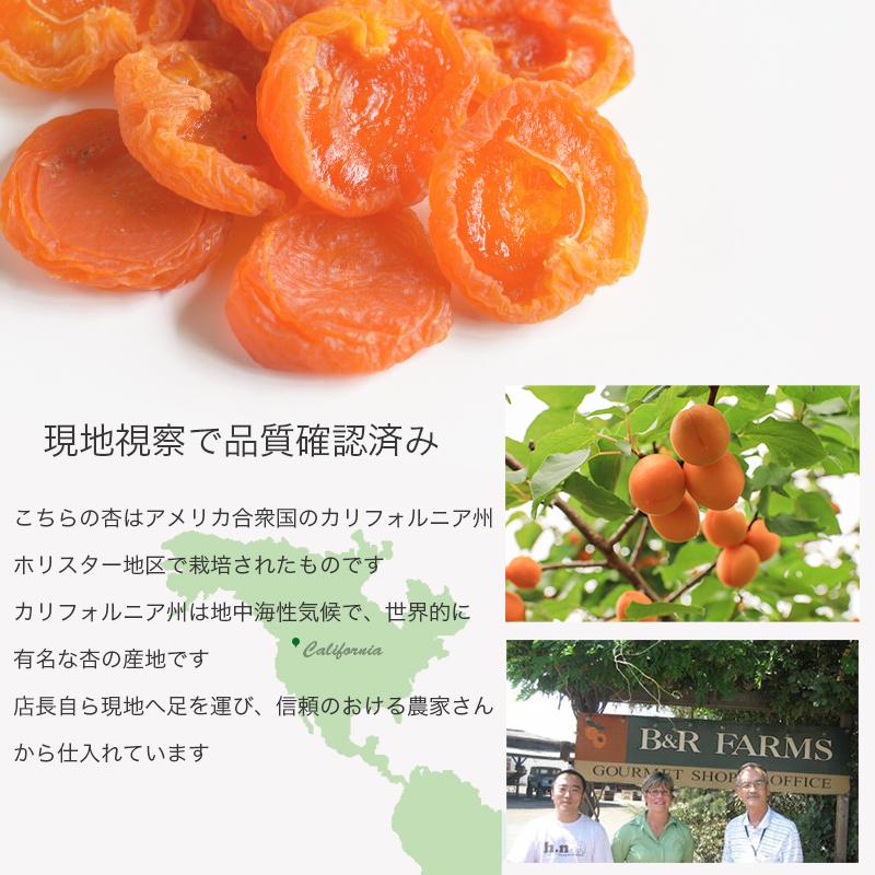 ドライフルーツ アプリコット ドライアプリコット 干し杏 ジャンボ