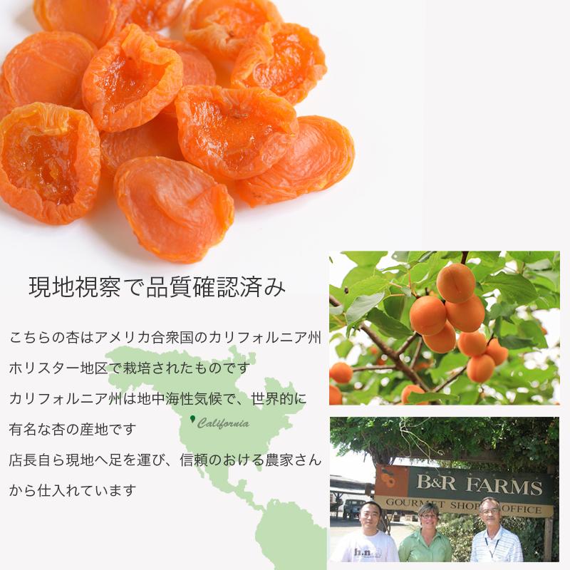 ドライフルーツ ドライアプリコット 干し杏 EXファンシー 砂糖不使用