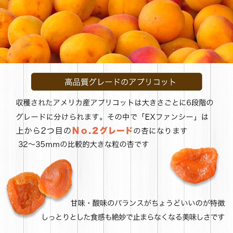 ドライフルーツ ドライアプリコット 干し杏 EXファンシー 砂糖不使用