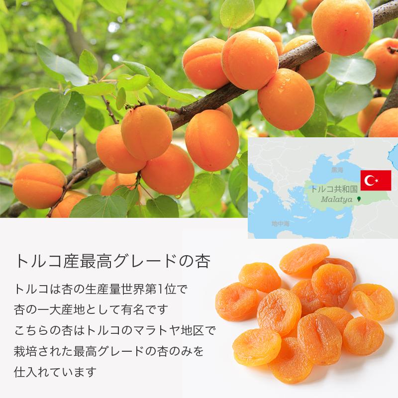 ドライフルーツ ドライアプリコット 干し杏 肉厚 やわらか ドライ
