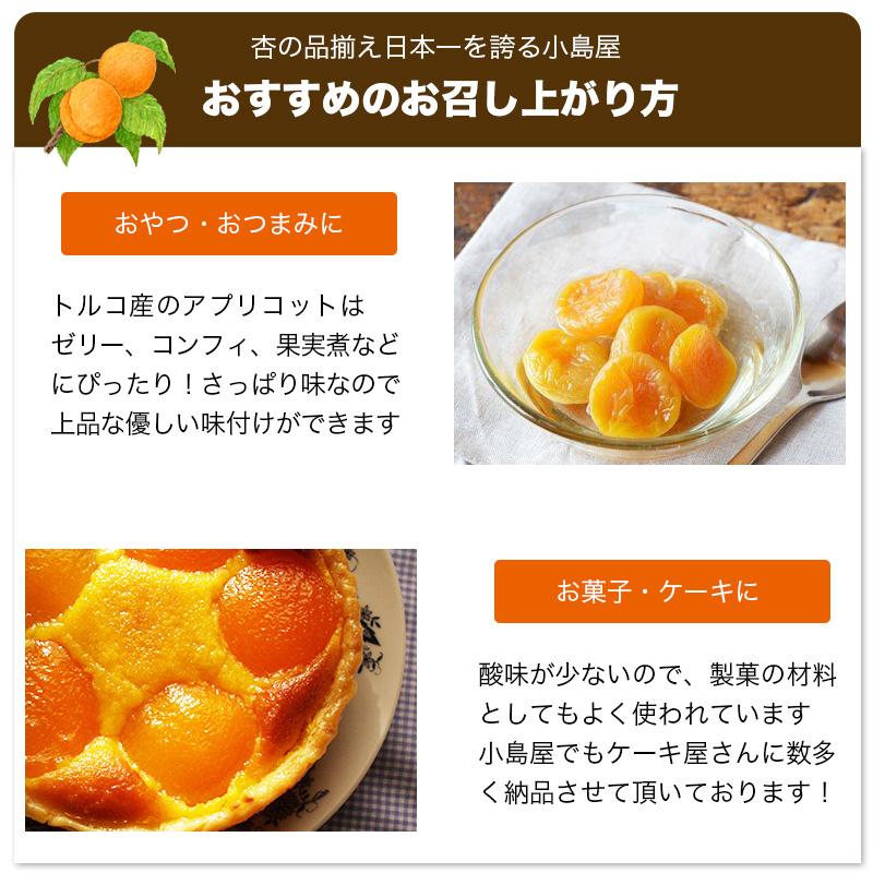 ドライフルーツ ドライアプリコット 干し杏 肉厚 やわらか ドライ