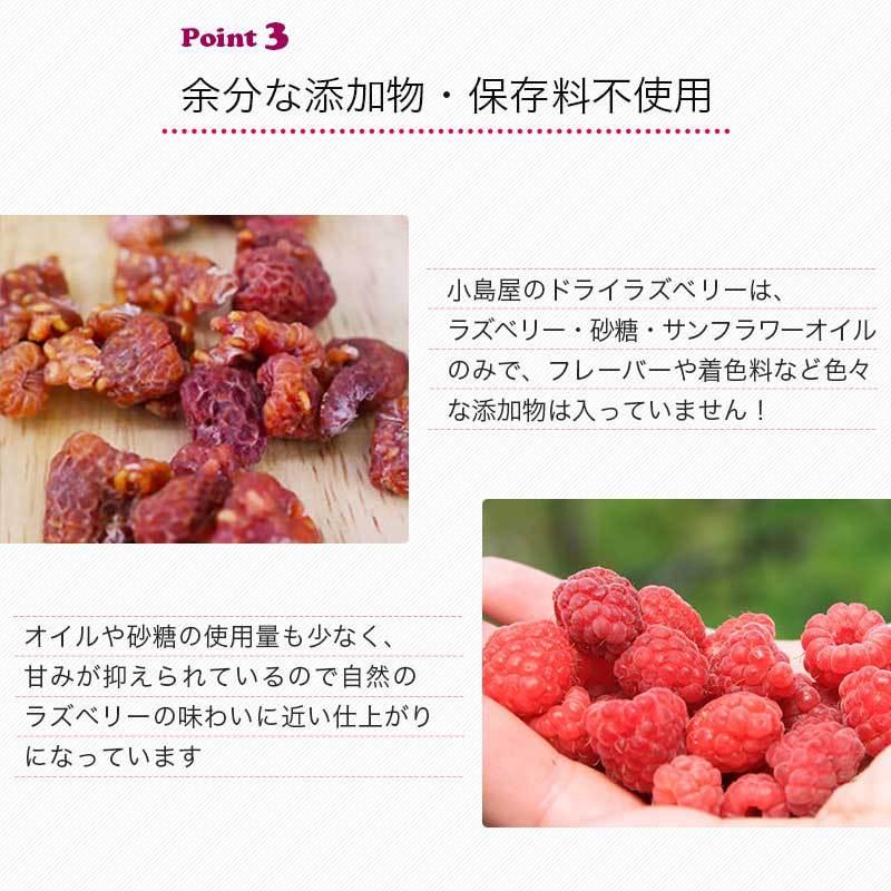 は自分にプチご褒美を ドライラズベリー フランボワーズ オレゴン産 500g ドライフルーツ 宅急便 送料無料 香りと酸味がたまらない Shipsctc Org