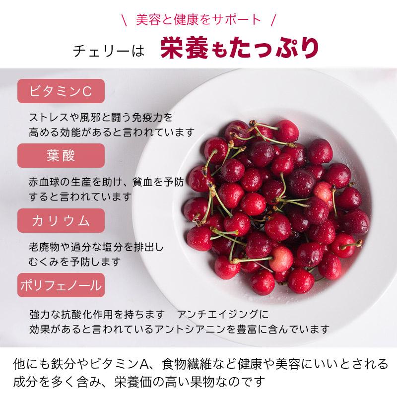 ドライフルーツ ドライチェリー タートチェリー アメリカ産 250g