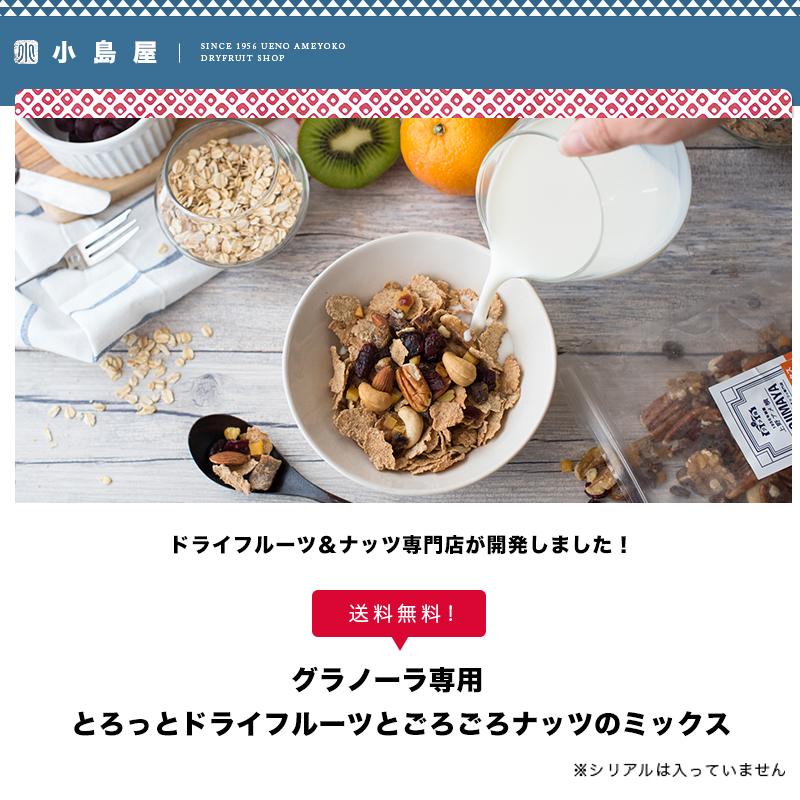 CD 専用シリアル