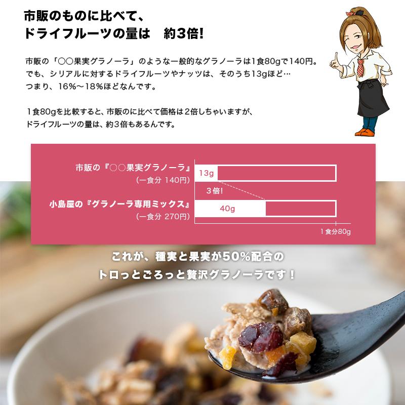 ドライフルーツ ミックス ナッツ グラノーラ 専用ミックス ミルク