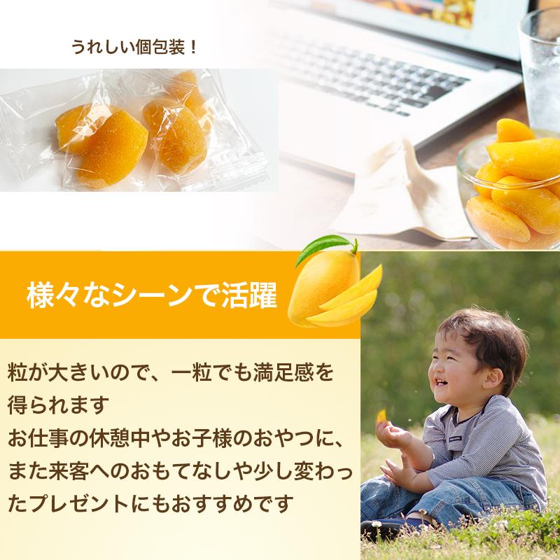 新発売】芳醇 マンゴーグミ 300g ゼラチン不使用 マンゴーピューレ62