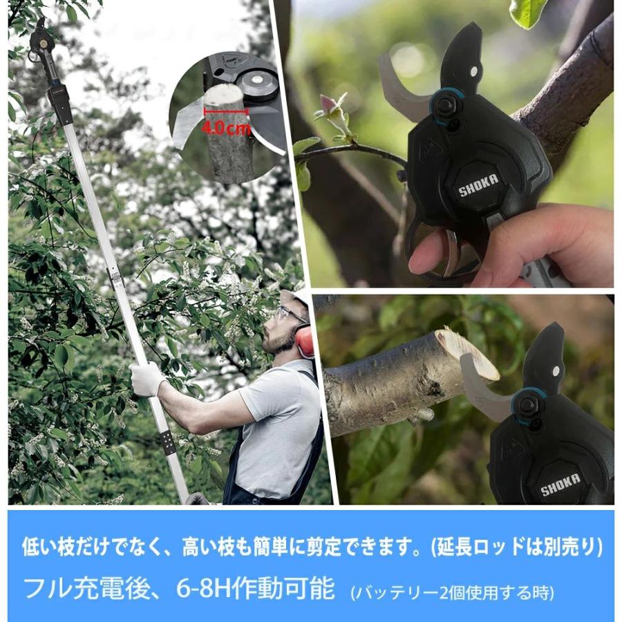 電動剪定バサミ 二つブレード連動バッテリー2個付き 充電式剪定ばさみ