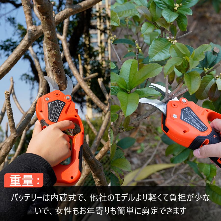 電動剪定バサミ 充電式 剪定ばさみ バッテリー内蔵式 バッテリー 電動剪定バサミ 充電式 剪定ばさみ バッテリー内蔵式 バッテリー
