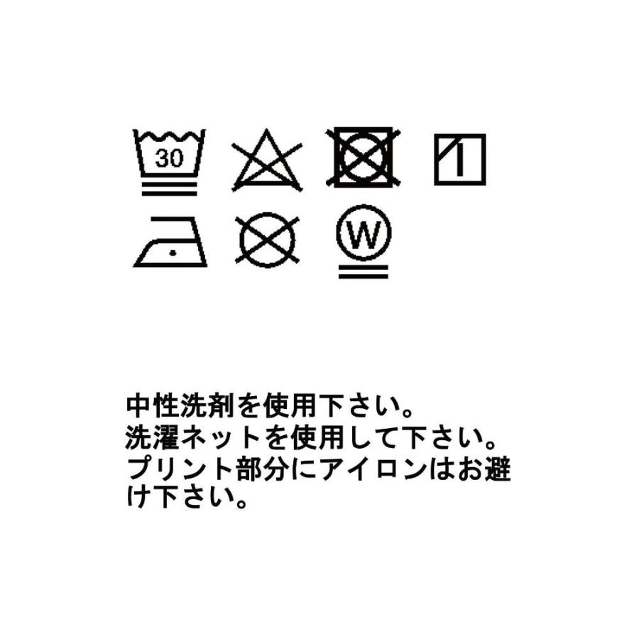 【クリアランス】【アウトレット】 MILLET ミレー / [ウィメンズ]ウビック ウール デュアル クルー / MIV02143_N7317の画像
